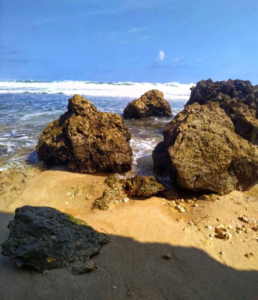 playa con gran roca en la costa - xero fotografías e imágenes de stock