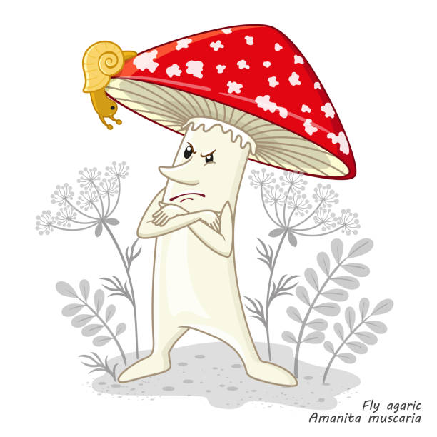 벡터 버섯은 흰색으로 분리됩니다. 만화 스타일의 재미있는 캐릭터 디자인. 유독 버섯 독감 agaric. 어린이 용 옷 인쇄 - 알광대버섯 stock illustrations