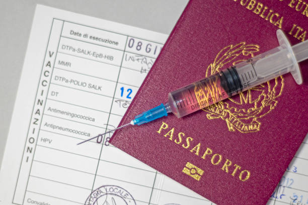 istock Covid-19 vaccine and vaccination passport 1297462687