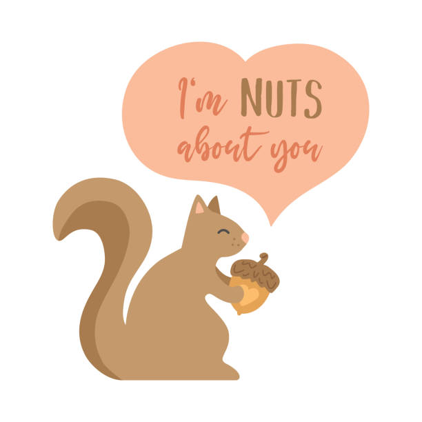 I am nuts about you squirrel vector illustration I am nuts about you vector illustration. Cute squirrel holding a nut, Valentines day card drawing. background of the crazy squirrel stock illustrations