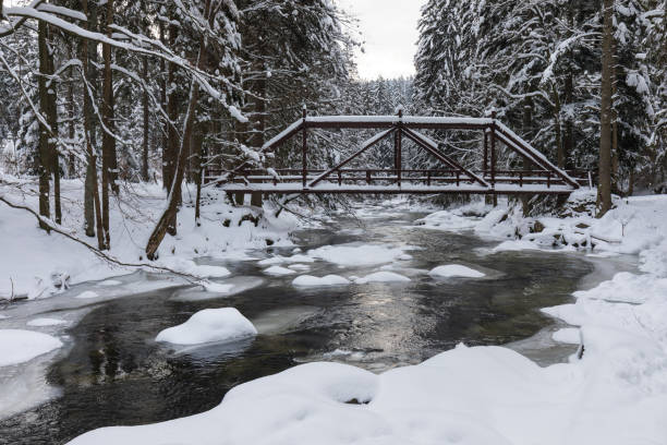 Wild river in winter with wooden bridge at Zemska Brana nature reserve, Orlicke hory, Eagle mountains, Eastern Bohemia Czech republic. Beautiful frosty day. Snowy weather in mountain. Most popular Wild river in winter with wooden bridge at Zemska Brana nature reserve, Orlicke hory, Eagle mountains, Eastern Bohemia Czech republic. Beautiful frosty day. Snowy weather in mountain. Most popular 8564 stock pictures, royalty-free photos & images