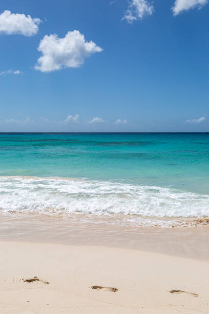 istock Foot Prints on a Tropical Beach 1297471147