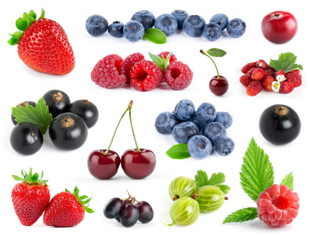 fruits. collection of berries on white background. strawberry, blueberry, grape, black currant, gooseberry, cherry and raspberry. - berry fruit currant variation gooseberry imagens e fotografias de stock