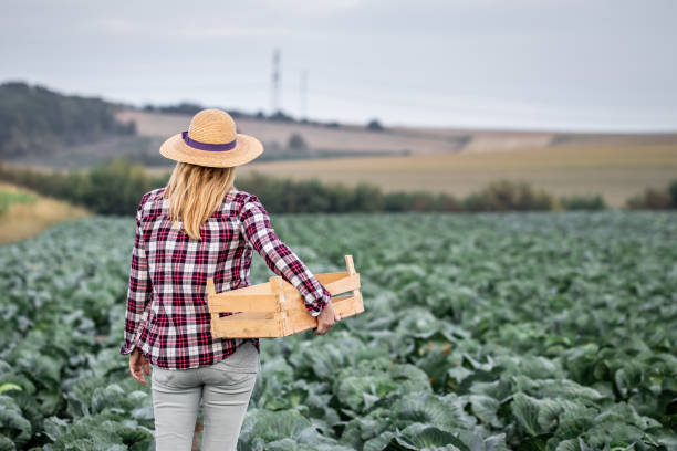 istock Female farm worker in agricultural field 1297475276