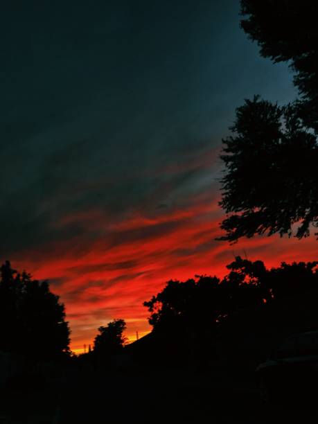 istock Orange sunset with trees in the distance 1297475779