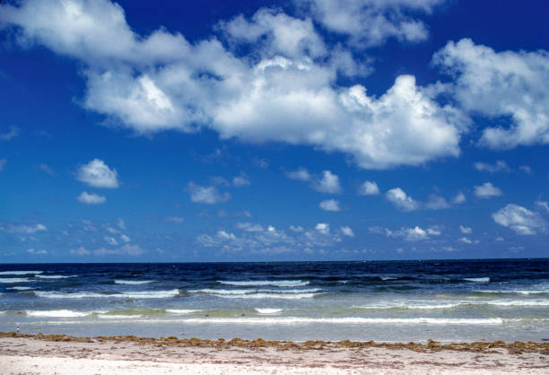 Padre Island National Seashore - Beach & Surf - 2002. Scanned from Kodachrome 25 slide.