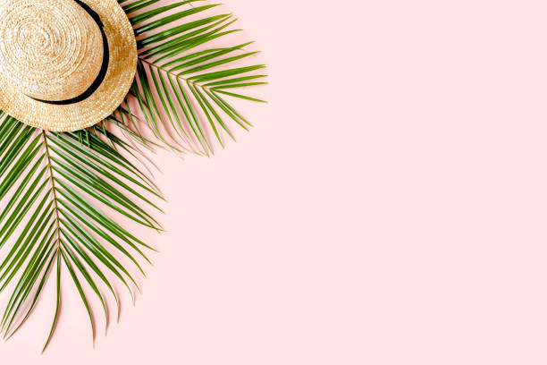 istock Summer background. Tropical palm leaf branches, straw hat on pink background with empty space for text. Travel vacation concept. Flat lay, top view 1297477875