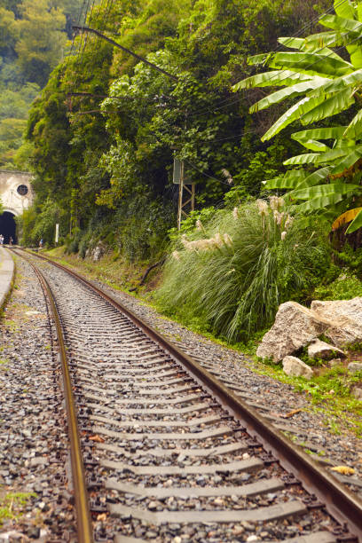 istock Old railway among the tropical 1297479491