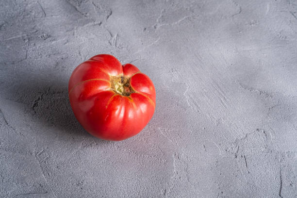 un vegetal de tomate de reliquia rosa, tomates rojos frescos maduros, comida vegana, fondo de hormigón de piedra, vista angular - tomato beefsteak tomato heirloom tomato pink fotografías e imágenes de stock