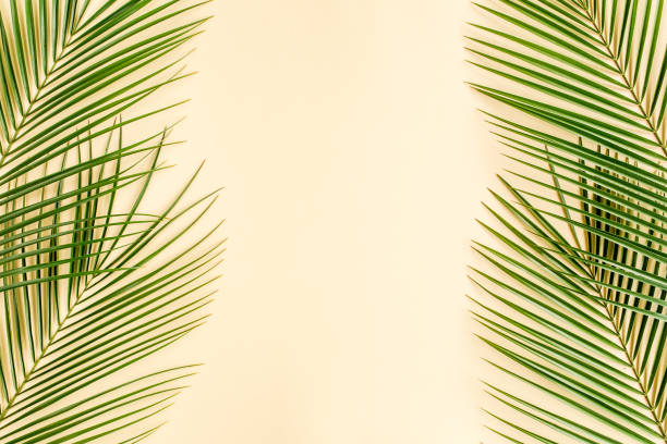 istock Tropical leaf on yellow background. Flat lay, top view 1297482192