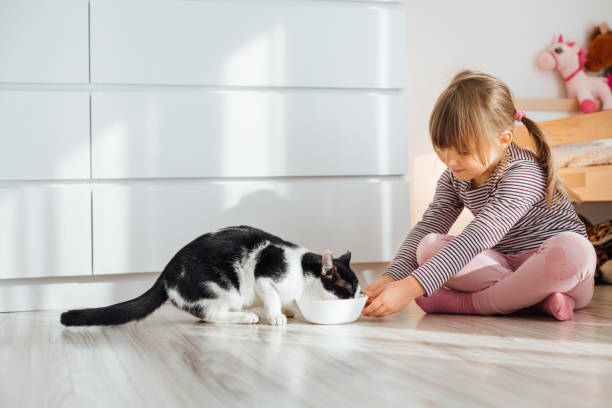 istock Little Girl Feeds A Cat With Milk. 1297482217