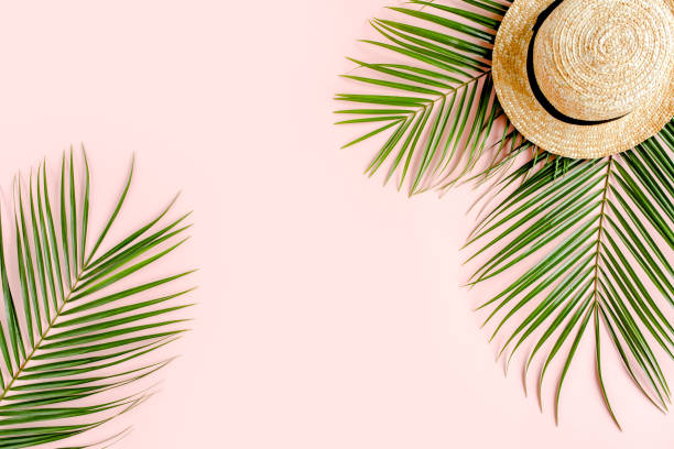 istock Summer background. Tropical palm leaf branches, straw hat on pink background with empty space for text. Travel vacation concept. Flat lay, top view 1297482270