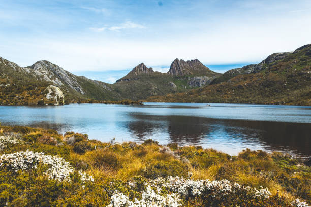istock Dove Lake in Cradle Mountain National Park 1297482276