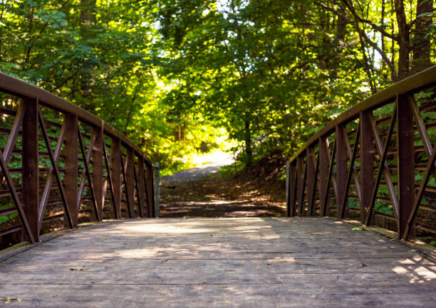 puente de madera en el parque - natural landmark nature recreational pursuit ontario fotografías e imágenes de stock