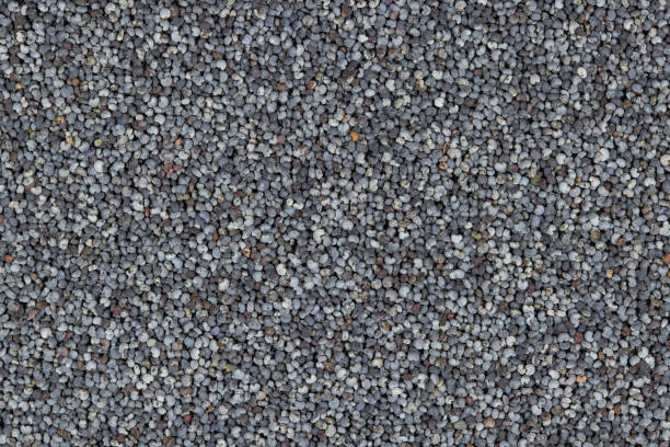 Poppy seed background texture. Background of raw Poppy seeds.