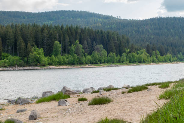 istock Shore of Lake Schluchsee Germany 1297485032