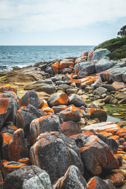 istock Binalong Bay in Tasmania 1297486481