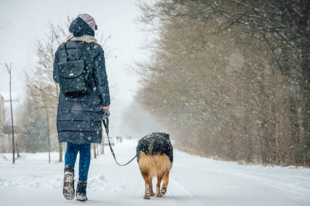 istock Young woman in a winter jacket, boots, with a backpack walks with a beautiful large shepherd dog on a snowy winter day in the dol of the park. Photo from the back 1297487188