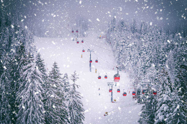 A cable car line in a snowy forest shrouded in thick fog. An atmosphere of mystery and calmness.