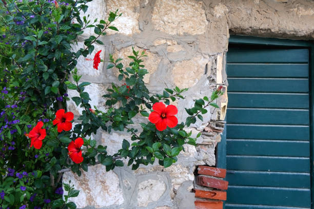 istock Lastovo, Croatia 1297489392