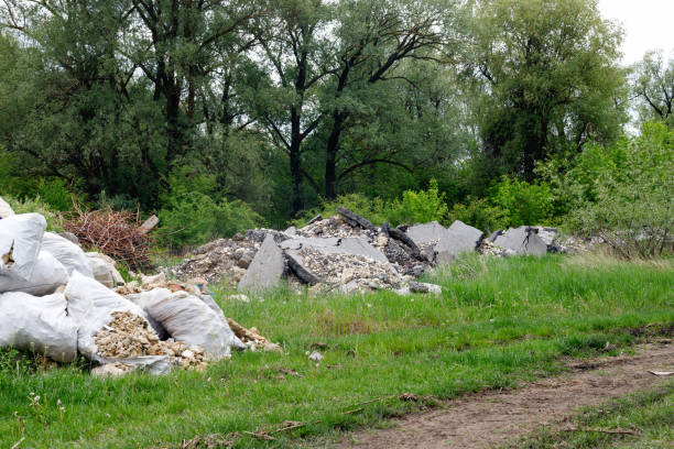 istock Dump of construction and household garbage in the forest. 1297490327