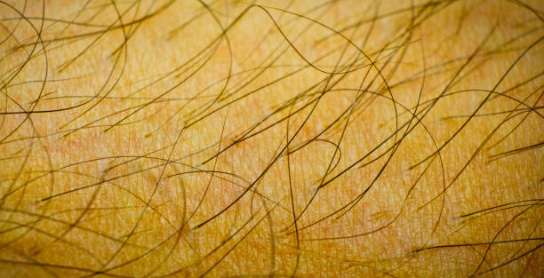 dermatologia. pelle umana pelosa con rughe raffigurante il processo di invecchiamento. - human skin female wrinkled women foto e immagini stock