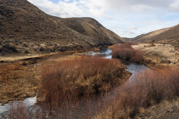 istock Powder river in Hells Canyon, Oregon 1297490460