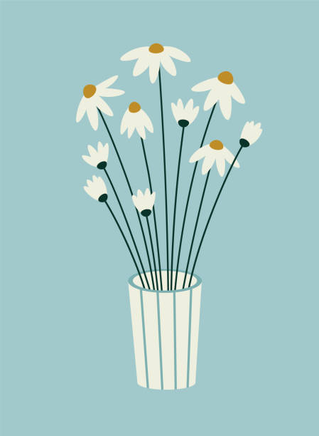 ilustraciones, imágenes clip art, dibujos animados e iconos de stock de ilustración vectorial de manzanilla en vidrio sobre fondo azul. - chamomile plant glass nature flower