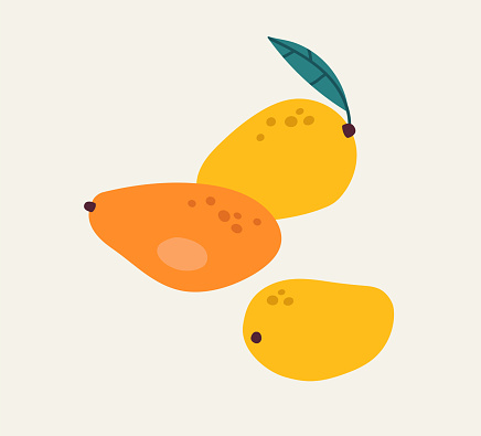 Vector illustration of yellow mangoes with leaf and orange mango , on a beige background.