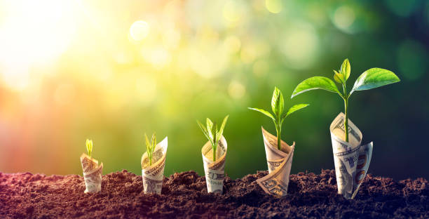 ドル苗 - 成長コンセプト - 増加中の手形の植物 - 投資 ストックフォトと画像