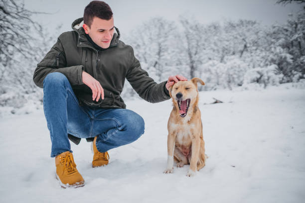 istock Man and dog on a snowy winter day 1297493586