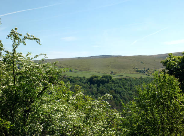 vista panorámica del paisaje entre los árboles de primavera en el valle frío por encima de los riscos de hardcastle en el oeste de yorkshire - west yorkshire forest hawthorn yorkshire fotografías e imágenes de stock