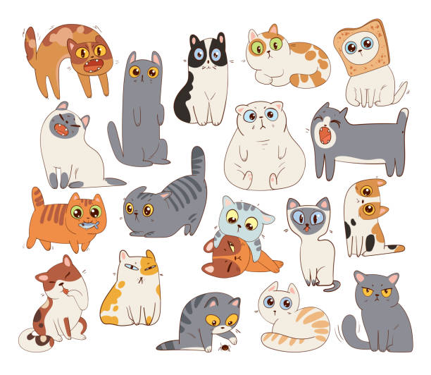 ilustraciones, imágenes clip art, dibujos animados e iconos de stock de conjunto de diferentes razas de gatos - sisear