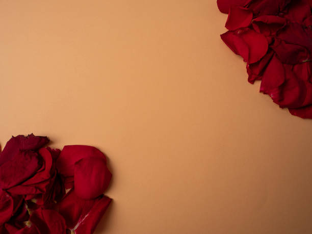 istock Many petals from red roses 1297499530