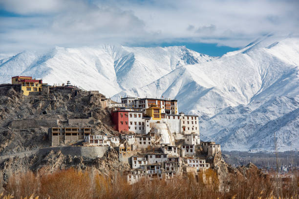 Spituk Gompa (monastery), Indus valley near Leh, Ladakh, India Spituk Monastery (also Spituk Gompa or Pethup Gompa) on a winter day. The Monastery was founded back in the 15 century. The buddhist monastery belongs to the Gelug sect (Yellow Hat sect) of Tibetan Buddhism. ladakh region photos stock pictures, royalty-free photos & images