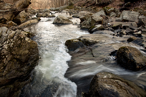 Blurred motion enhances the beauty of this stream in the wilderness.