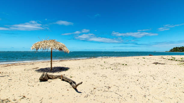 istock Small straw hut at deserted beach boipeba bahia brazil 1297501764