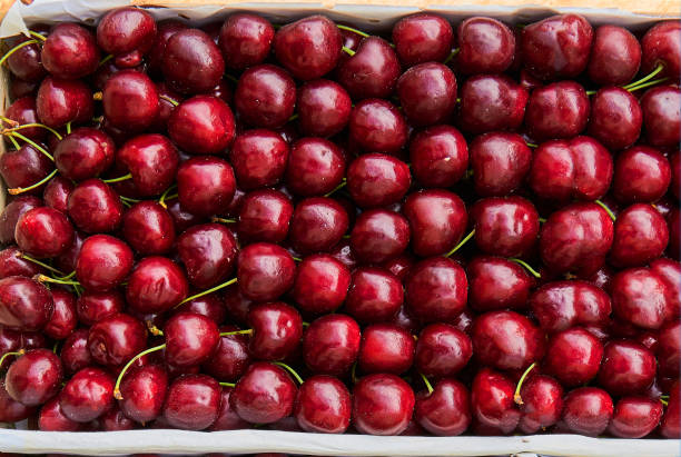 istock cherry ripe sweet viburnum cherry background 1297503654