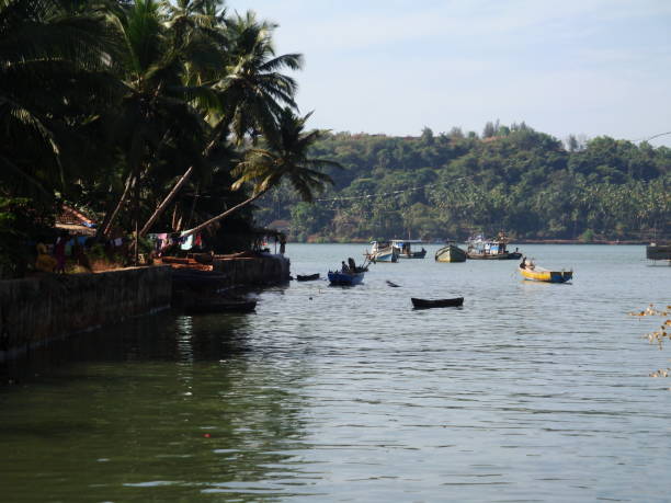 istock fishing in India 1297504560