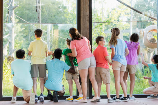 istock Summer field trip to zoo, including children with downs 1297509103