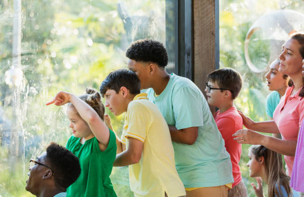 istock Summer field trip to zoo, including children with downs 1297509197