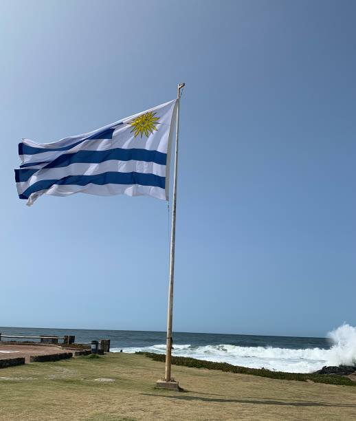 우루과이 국기 - uruguayan flag 뉴스 사진 이미지