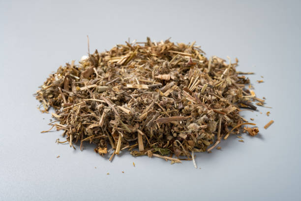istock side view herb LaoGuanCao or Erodii Herba or Geranii Herba or Common Herons Bill Herb 1297516160