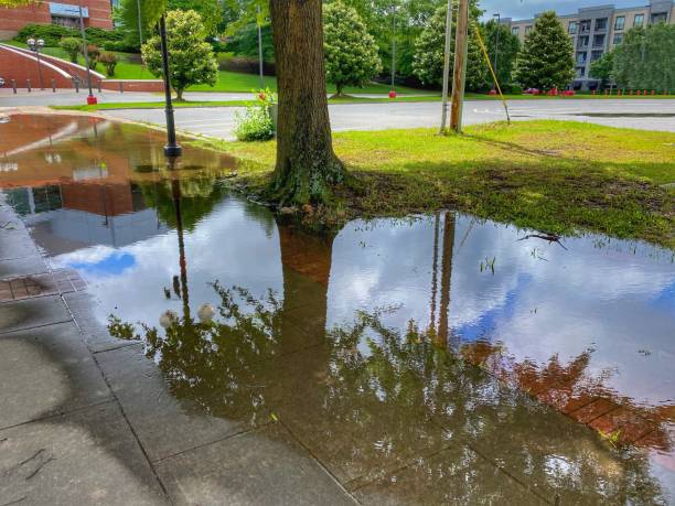 istock Reflection of a City in a Puddle 1297518036