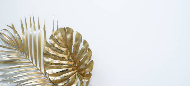 istock Gold tropical palm leaves Monstera on white background. 1297522328