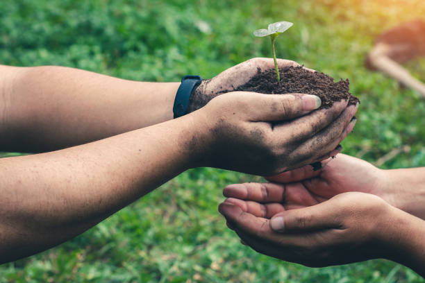 istock Hand for planting tree back to the forest, Creating awareness for love wild. 1297524993