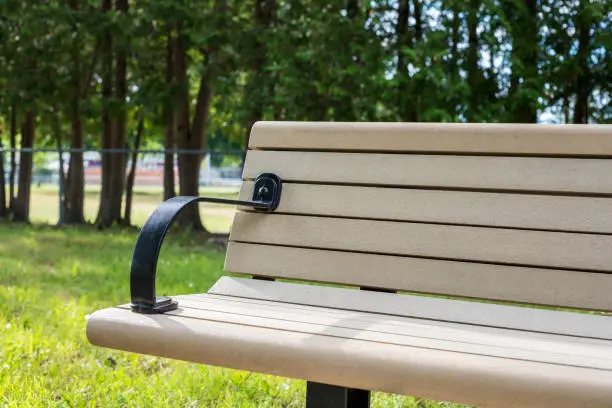 Photo of Bench in the park in summer