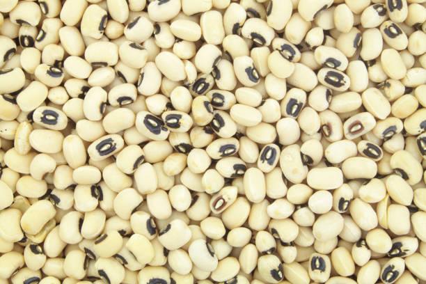 istock Black eyed beans background 1297529858