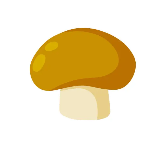 Vector illustration of Boletus edulis. Eco-friendly cep food. Flat cartoon illustration. Mushroom with a brown cap. Natural product from the forest