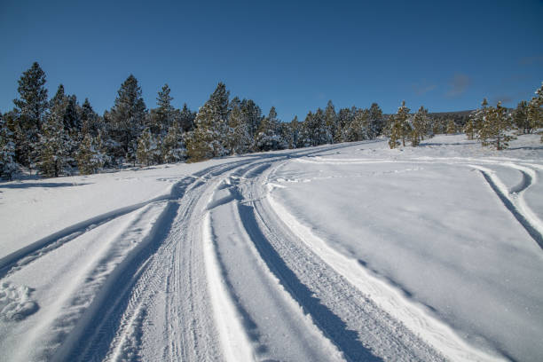 Tracks in snow covered trail
